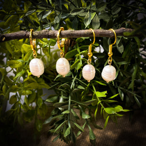 Freshwater Pearl Dangle Earrings (Gold)